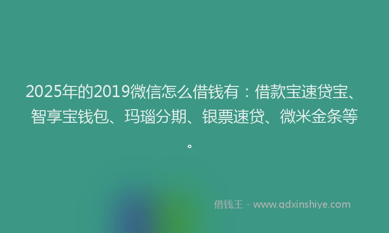 2025年的2019微信怎么借钱有：借款宝速贷宝、智享宝钱包、玛瑙分期、银票速贷、微米金条等。