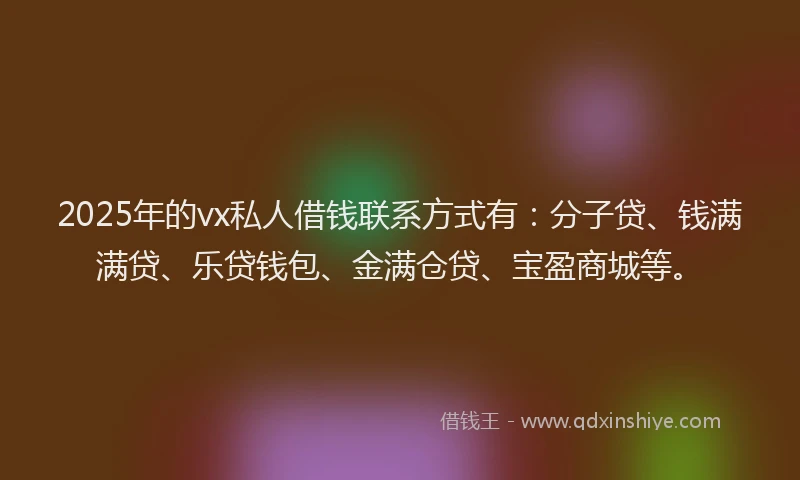 2025年的vx私人借钱联系方式有：分子贷、钱满满贷、乐贷钱包、金满仓贷、宝盈商城等。