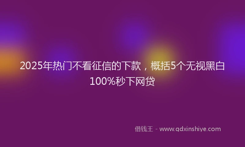 2025年热门不看征信的下款，概括5个无视黑白100%秒下网贷