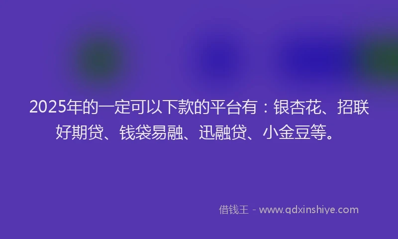 2025年的一定可以下款的平台有：银杏花、招联好期贷、钱袋易融、迅融贷、小金豆等。