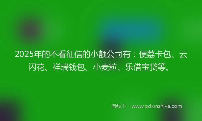 2025年的不看征信的小额公司有：便荔卡包、云闪花、祥瑞钱包、小麦粒、乐借宝贷等。