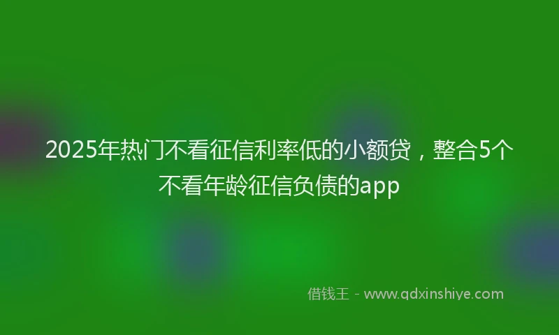 2025年热门不看征信利率低的小额贷，整合5个不看年龄征信负债的app