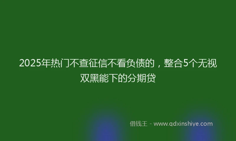 2025年热门不查征信不看负债的，整合5个无视双黑能下的分期贷