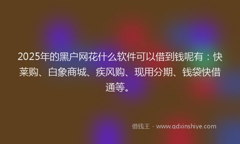 2025年的黑户网花什么软件可以借到钱呢有：快莱购、白象商城、疾风购、现用分期、钱袋快借通等。