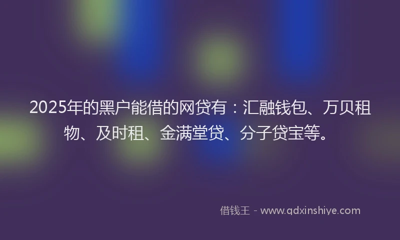 2025年的黑户能借的网贷有：汇融钱包、万贝租物、及时租、金满堂贷、分子贷宝等。