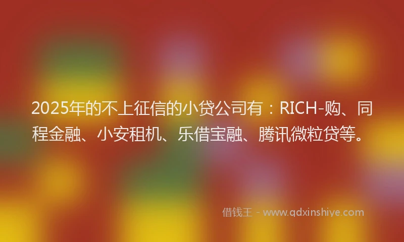 2025年的不上征信的小贷公司有：RICH-购、同程金融、小安租机、乐借宝融、腾讯微粒贷等。