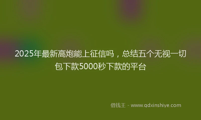 2025年最新高炮能上征信吗，总结五个无视一切包下款5000秒下款的平台