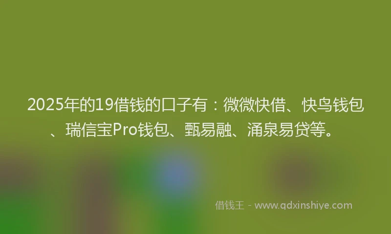 2025年的19借钱的口子有：微微快借、快鸟钱包、瑞信宝Pro钱包、甄易融、涌泉易贷等。