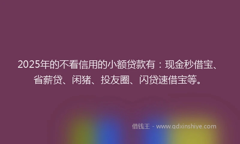 2025年的不看信用的小额贷款有：现金秒借宝、省薪贷、闲猪、投友圈、闪贷速借宝等。