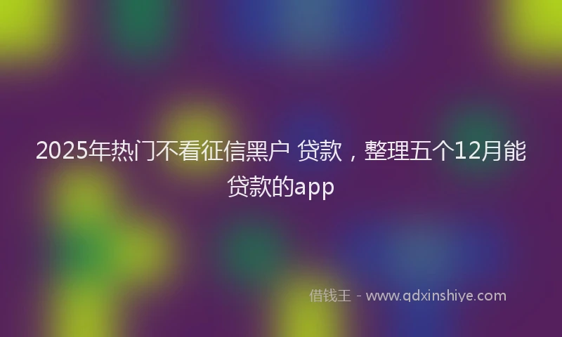 2025年热门不看征信黑户 贷款，整理五个12月能贷款的app