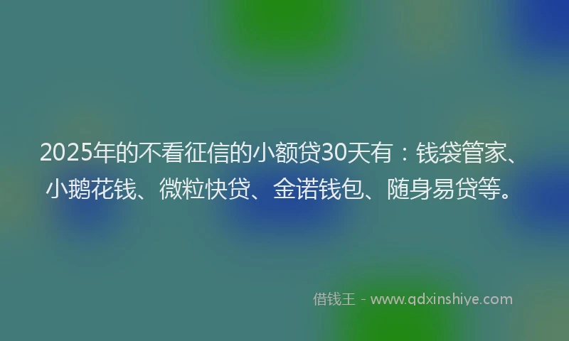 2025年的不看征信的小额贷30天有：钱袋管家、小鹅花钱、微粒快贷、金诺钱包、随身易贷等。