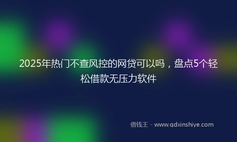 2025年热门不查风控的网贷可以吗,盘点5个轻松借款无压力软件