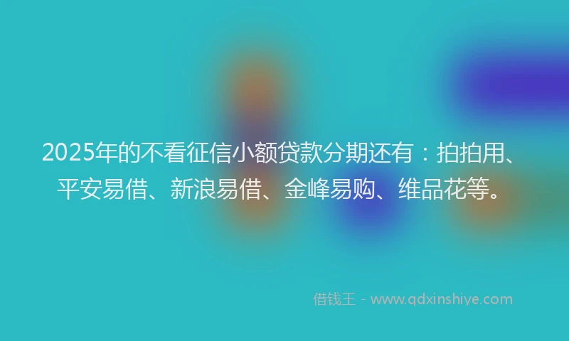 2025年的不看征信小额贷款分期还有：拍拍用、平安易借、新浪易借、金峰易购、维品花等。