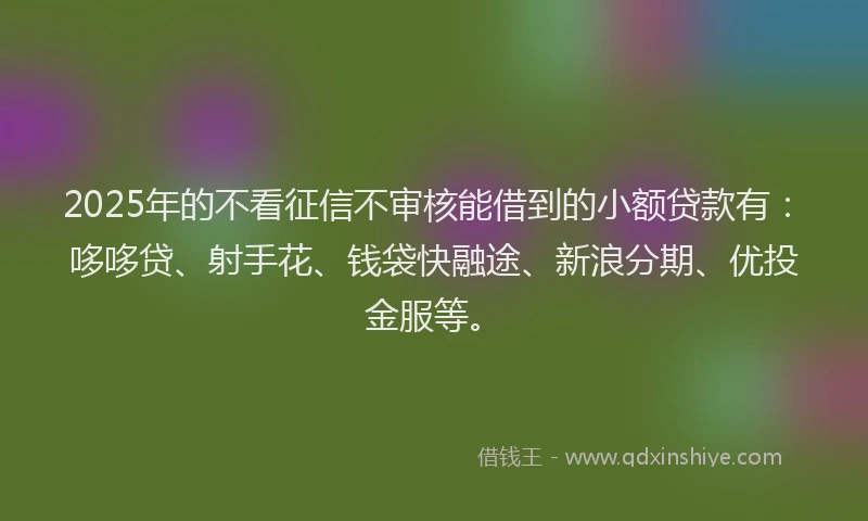 2025年的不看征信不审核能借到的小额贷款有：哆哆贷、射手花、钱袋快融途、新浪分期、优投金服等。