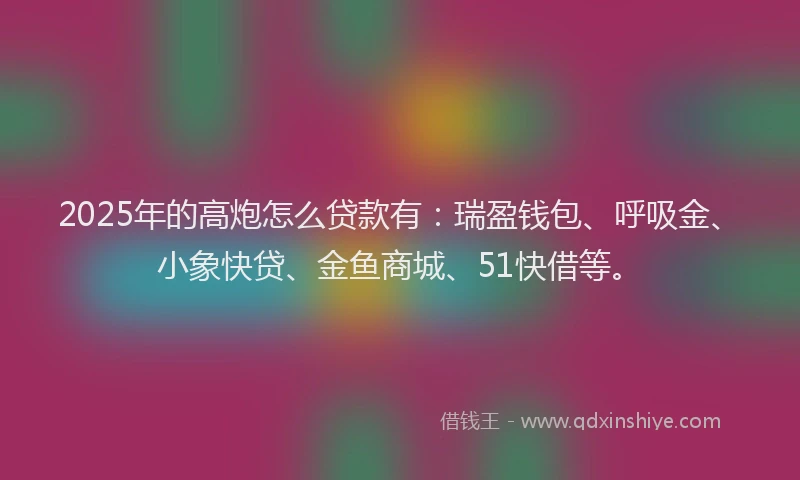 2025年的高炮怎么贷款有：瑞盈钱包、呼吸金、小象快贷、金鱼商城、51快借等。