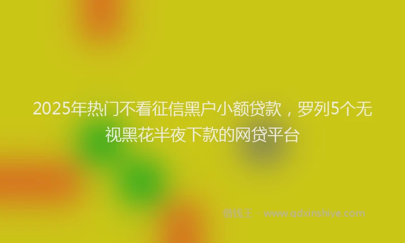 2025年热门不看征信黑户小额贷款，罗列5个无视黑花半夜下款的网贷平台