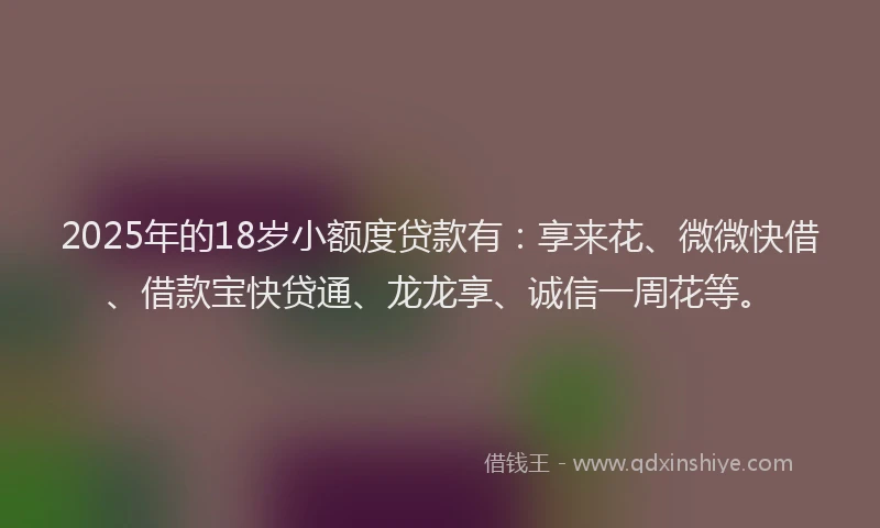 2025年的18岁小额度贷款有：享来花、微微快借、借款宝快贷通、龙龙享、诚信一周花等。