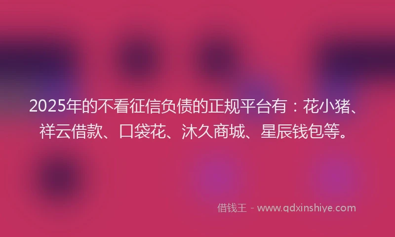 2025年的不看征信负债的正规平台有：花小猪、祥云借款、口袋花、沐久商城、星辰钱包等。