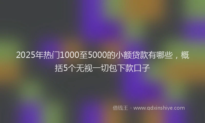 2025年热门1000至5000的小额贷款有哪些，概括5个无视一切包下款口子