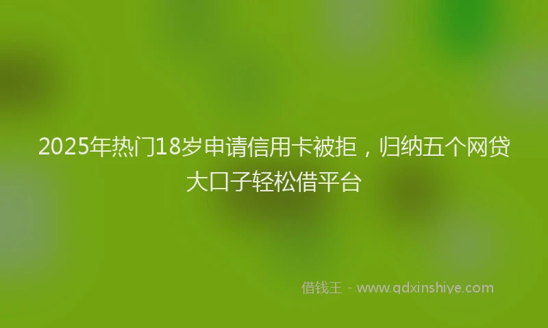 2025年热门18岁申请信用卡被拒，归纳五个网贷大口子轻松借平台