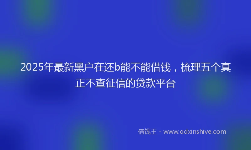2025年最新黑户在还b能不能借钱，梳理五个真正不查征信的贷款平台