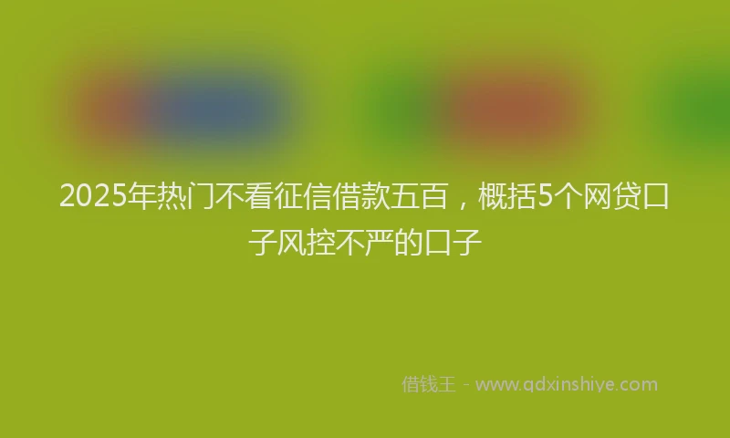 2025年热门不看征信借款五百，概括5个网贷口子风控不严的口子