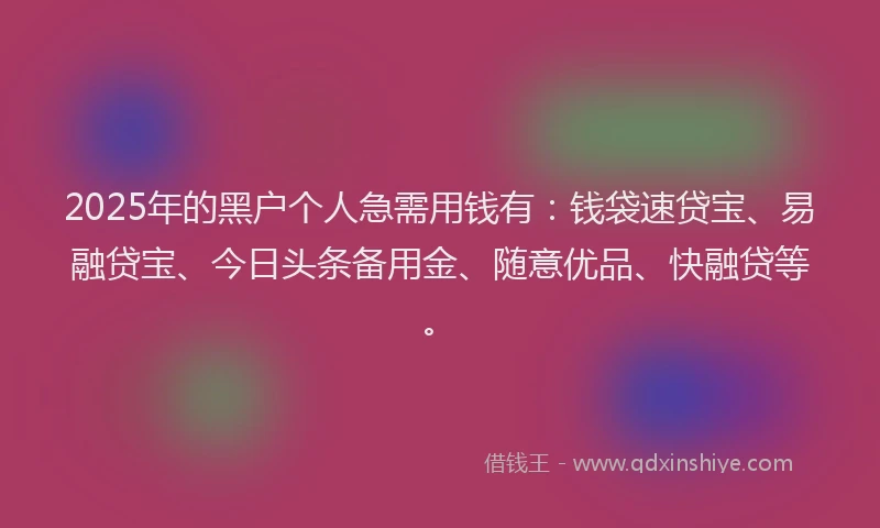 2025年的黑户个人急需用钱有：钱袋速贷宝、易融贷宝、今日头条备用金、随意优品、快融贷等。
