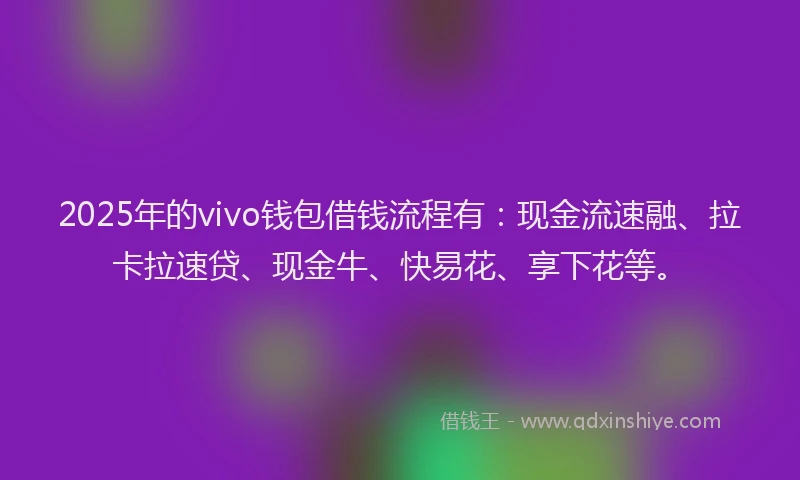 2025年的vivo钱包借钱流程有：现金流速融、拉卡拉速贷、现金牛、快易花、享下花等。
