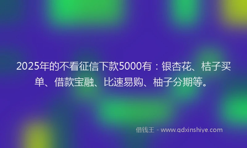 2025年的不看征信下款5000有：银杏花、桔子买单、借款宝融、比速易购、柚子分期等。