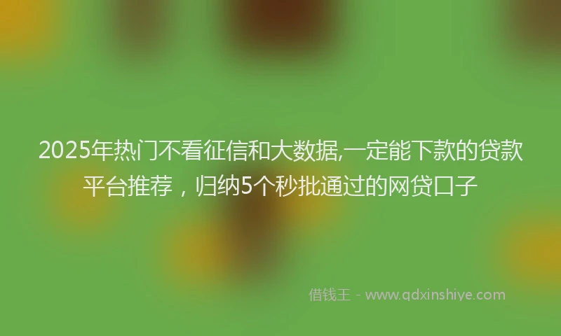 2025年热门不看征信和大数据,一定能下款的贷款平台推荐，归纳5个秒批通过的网贷口子