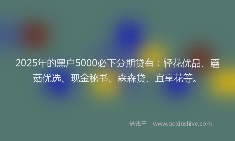 2025年的黑户5000必下分期贷有：轻花优品、蘑菇优选、现金秘书、森森贷、宜享花等。