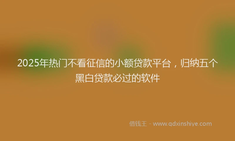 2025年热门不看征信的小额贷款平台，归纳五个黑白贷款必过的软件