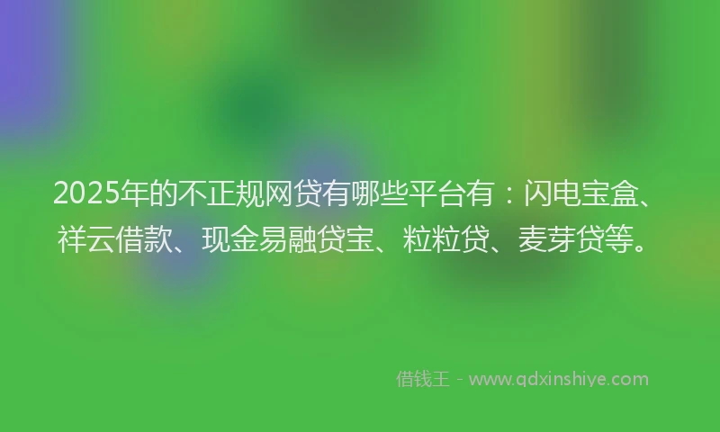 2025年的不正规网贷有哪些平台有：闪电宝盒、祥云借款、现金易融贷宝、粒粒贷、麦芽贷等。