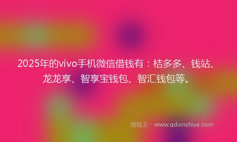 2025年的vivo手机微信借钱有：桔多多、钱站、龙龙享、智享宝钱包、智汇钱包等。