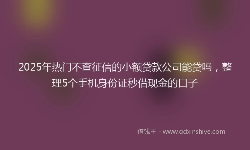 2025年热门不查征信的小额贷款公司能贷吗,整理5个手机身份证秒借现金的口子