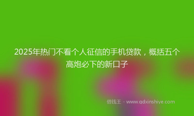 2025年热门不看个人征信的手机贷款，概括五个高炮必下的新口子