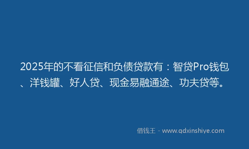 2025年的不看征信和负债贷款有：智贷Pro钱包、洋钱罐、好人贷、现金易融通途、功夫贷等。