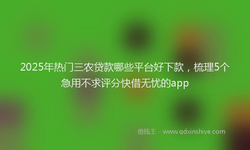 2025年热门三农贷款哪些平台好下款，梳理5个急用不求评分快借无忧的app