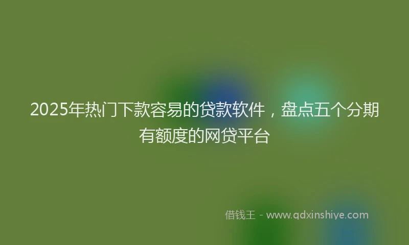 2025年热门下款容易的贷款软件，盘点五个分期有额度的网贷平台