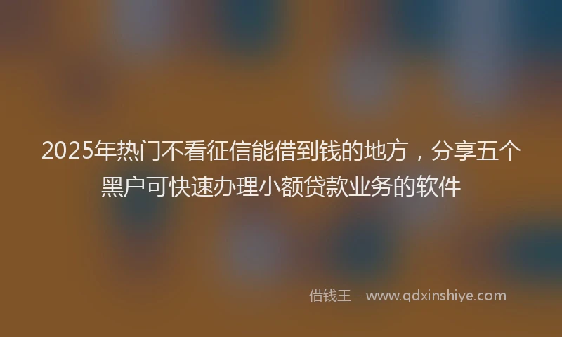 2025年热门不看征信能借到钱的地方，分享五个黑户可快速办理小额贷款业务的软件