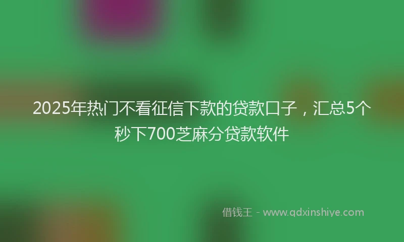 2025年热门不看征信下款的贷款口子，汇总5个秒下700芝麻分贷款软件