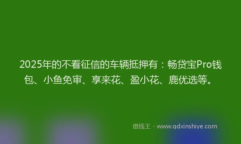 2025年的不看征信的车辆抵押有：畅贷宝Pro钱包、小鱼免审、享来花、盈小花、鹿优选等。