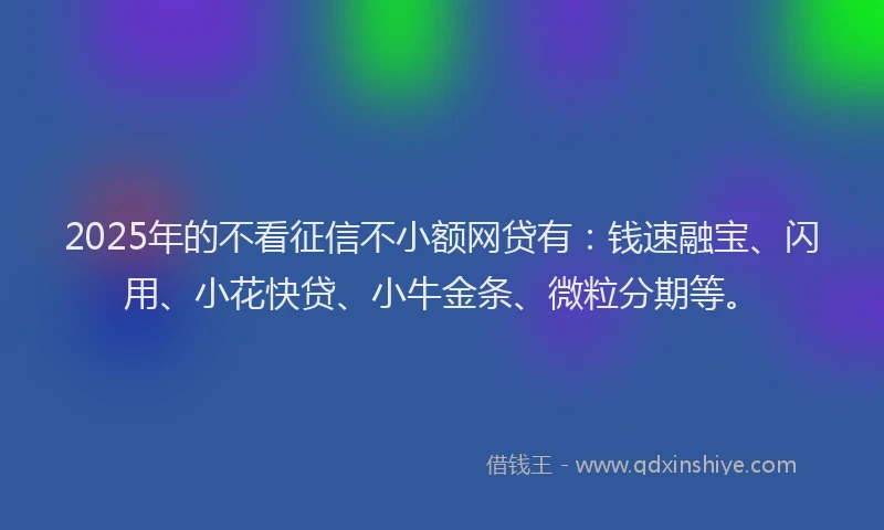 2025年的不看征信不小额网贷有：钱速融宝、闪用、小花快贷、小牛金条、微粒分期等。
