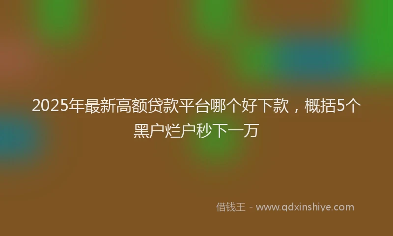 2025年最新高额贷款平台哪个好下款，概括5个黑户烂户秒下一万