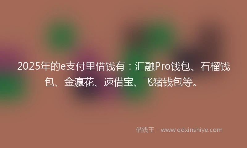 2025年的e支付里借钱有：汇融Pro钱包、石榴钱包、金瀛花、速借宝、飞猪钱包等。