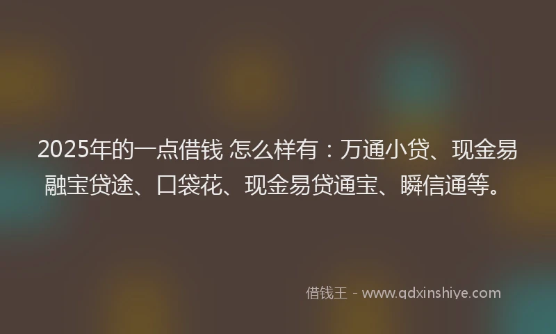 2025年的一点借钱 怎么样有：万通小贷、现金易融宝贷途、口袋花、现金易贷通宝、瞬信通等。