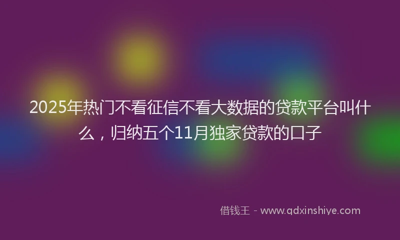 2025年热门不看征信不看大数据的贷款平台叫什么，归纳五个11月独家贷款的口子