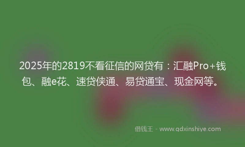 2025年的2819不看征信的网贷有：汇融Pro+钱包、融e花、速贷侠通、易贷通宝、现金网等。