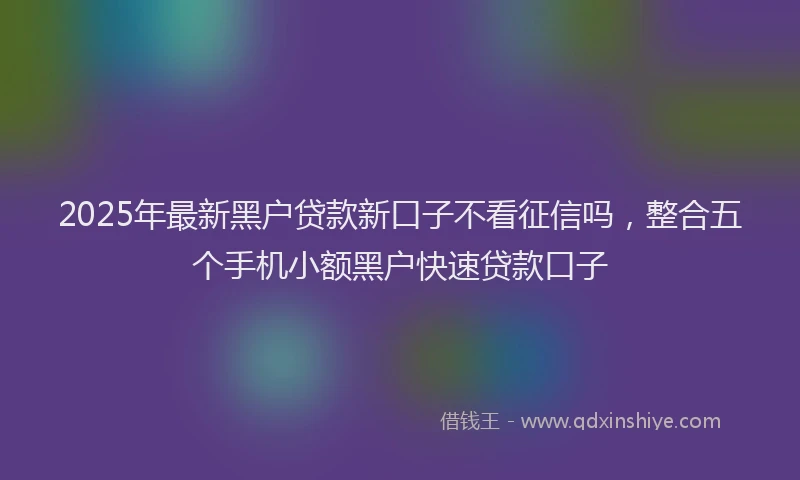 2025年最新黑户贷款新口子不看征信吗，整合五个手机小额黑户快速贷款口子