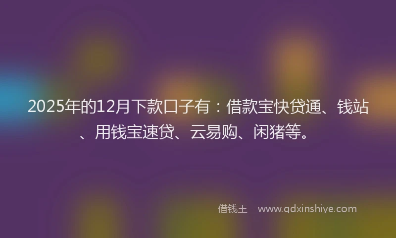 2025年的12月下款口子有：借款宝快贷通、钱站、用钱宝速贷、云易购、闲猪等。
